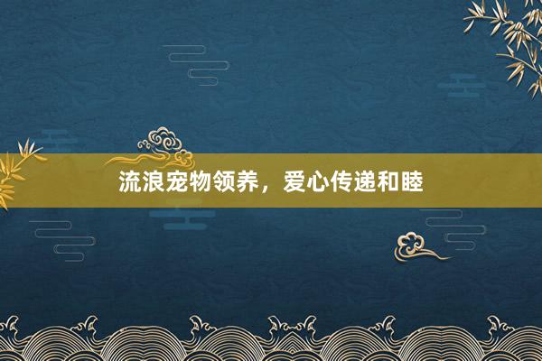 流浪宠物领养，爱心传递和睦